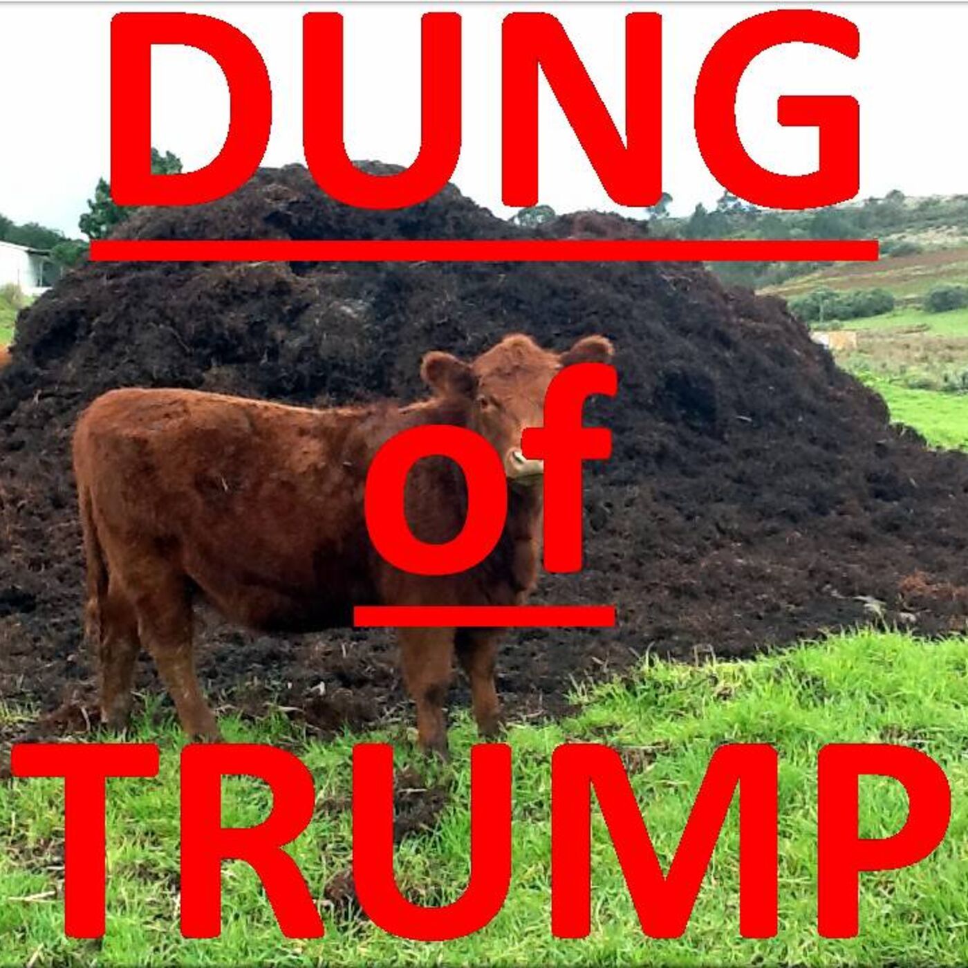 Dung OF TRUMP Family and Republicans! You are not Americans. Lets have a Contest!
