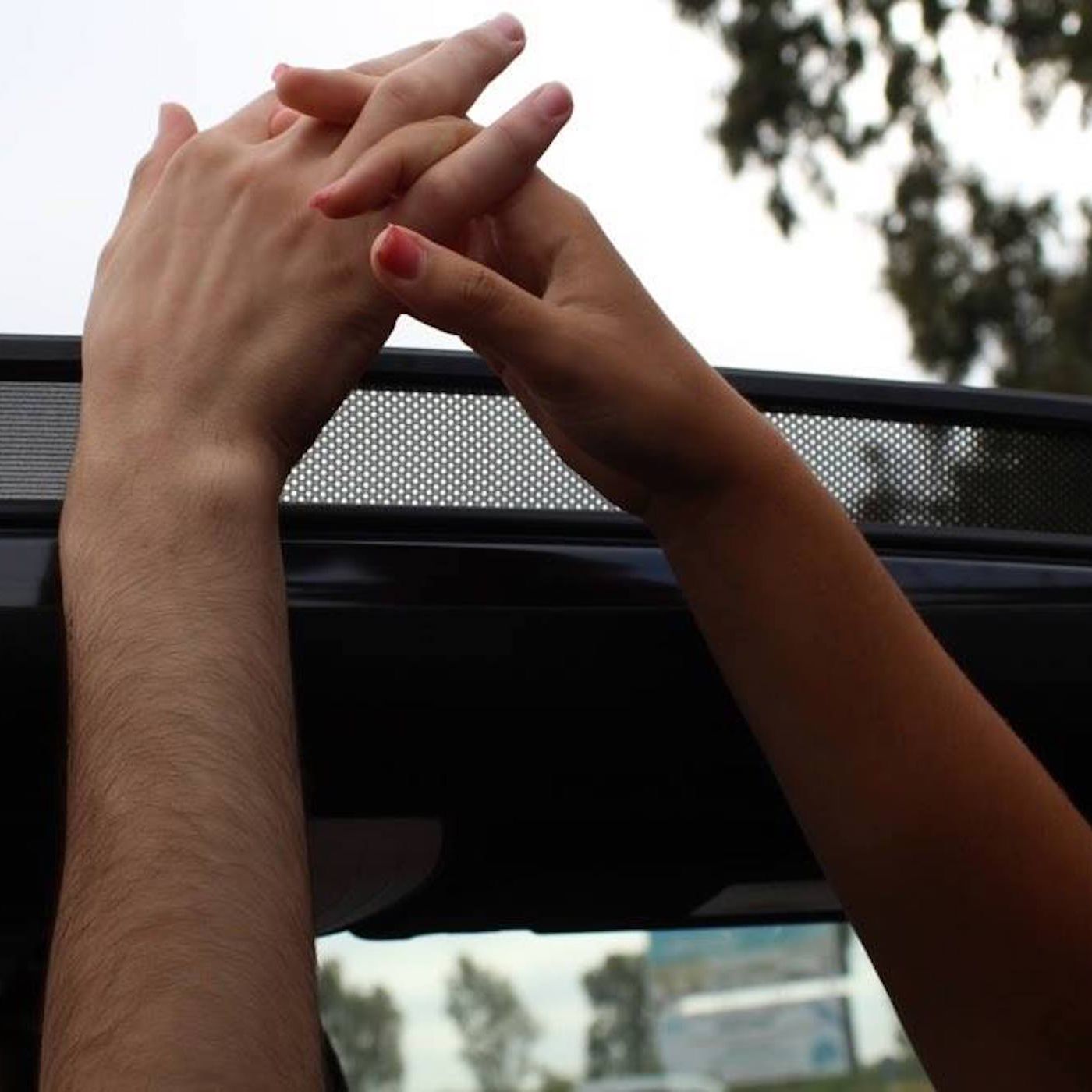 Autodisciplina con Ion Iacob