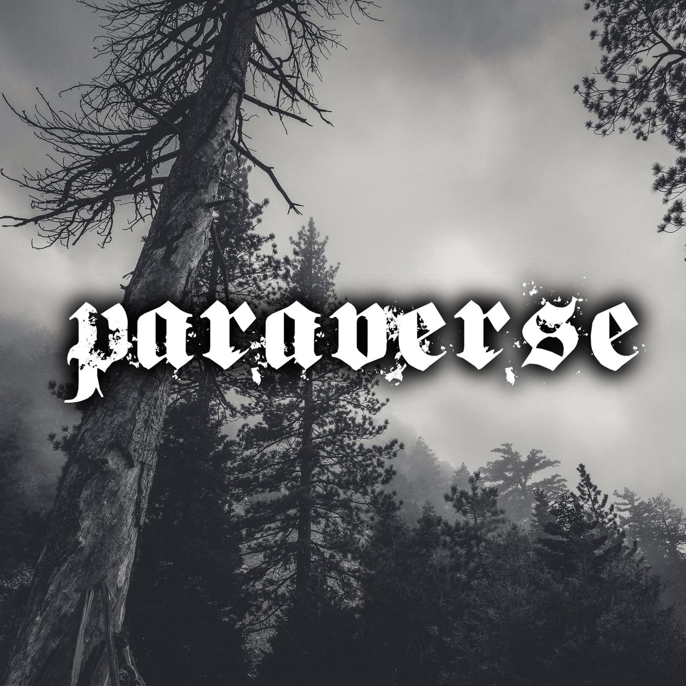 Paraverse - Live show and podcast series