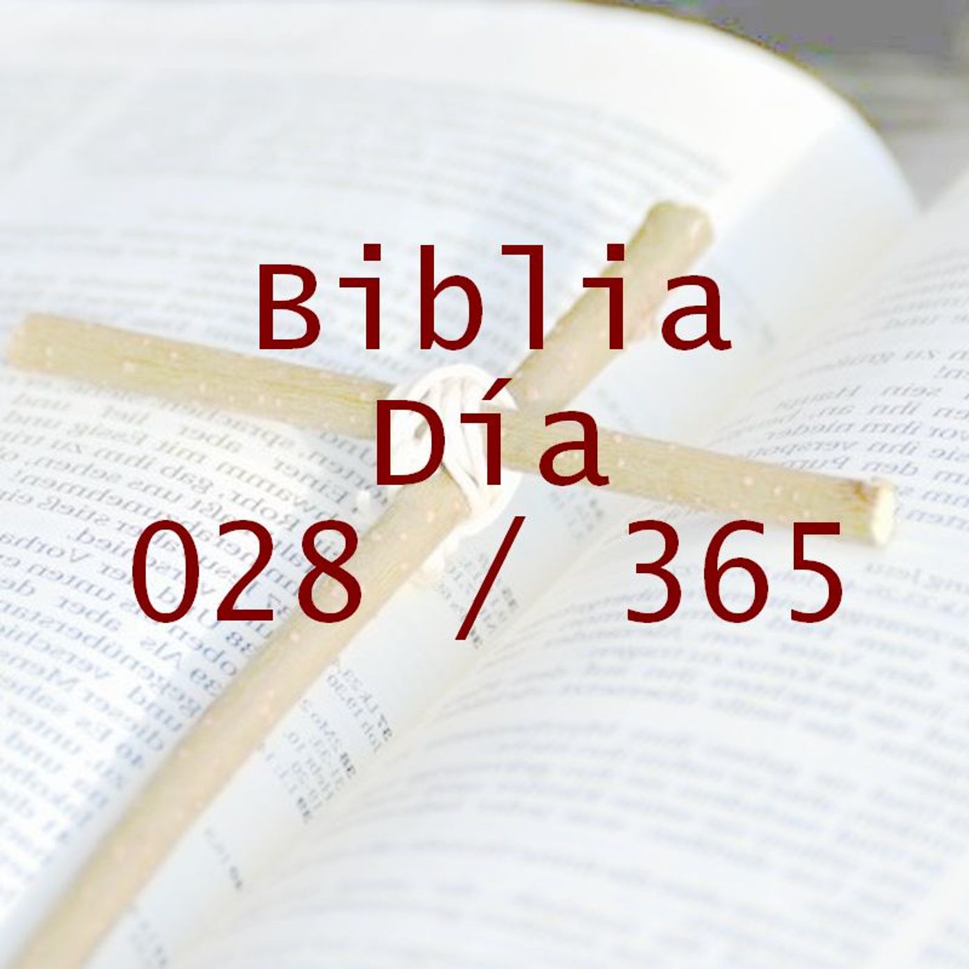 La Biblia en 365 dias