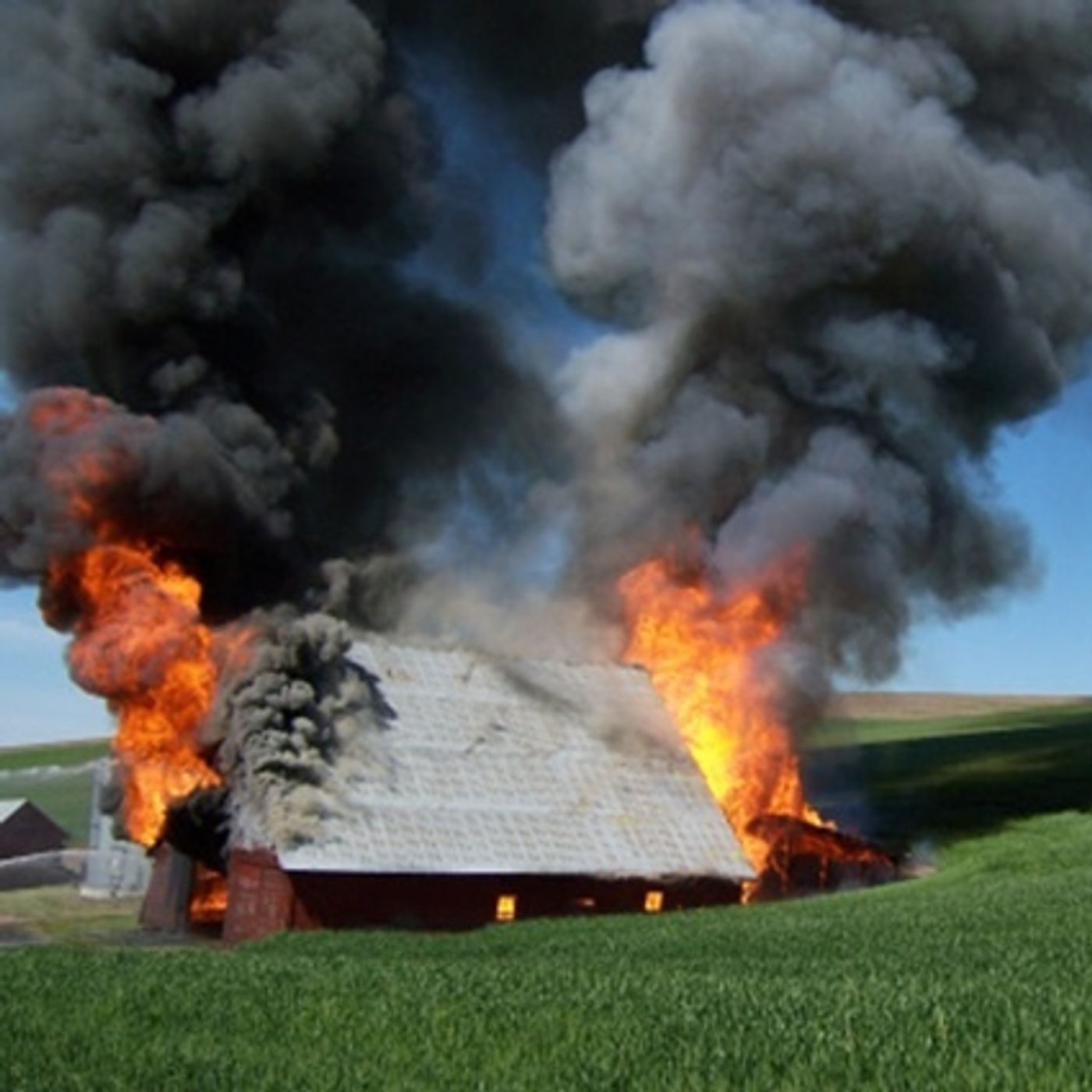 (Smile File) Unlikely Hero Saves Livestock from Fire episode artwork