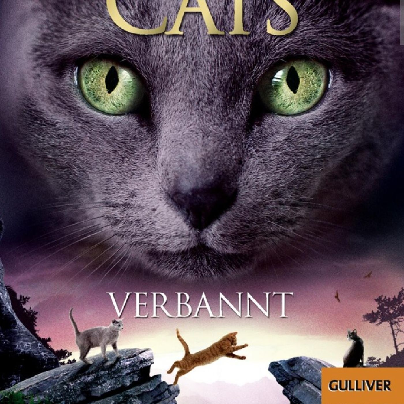 293. Verbannt 🐈🐈‍⬛ episode artwork