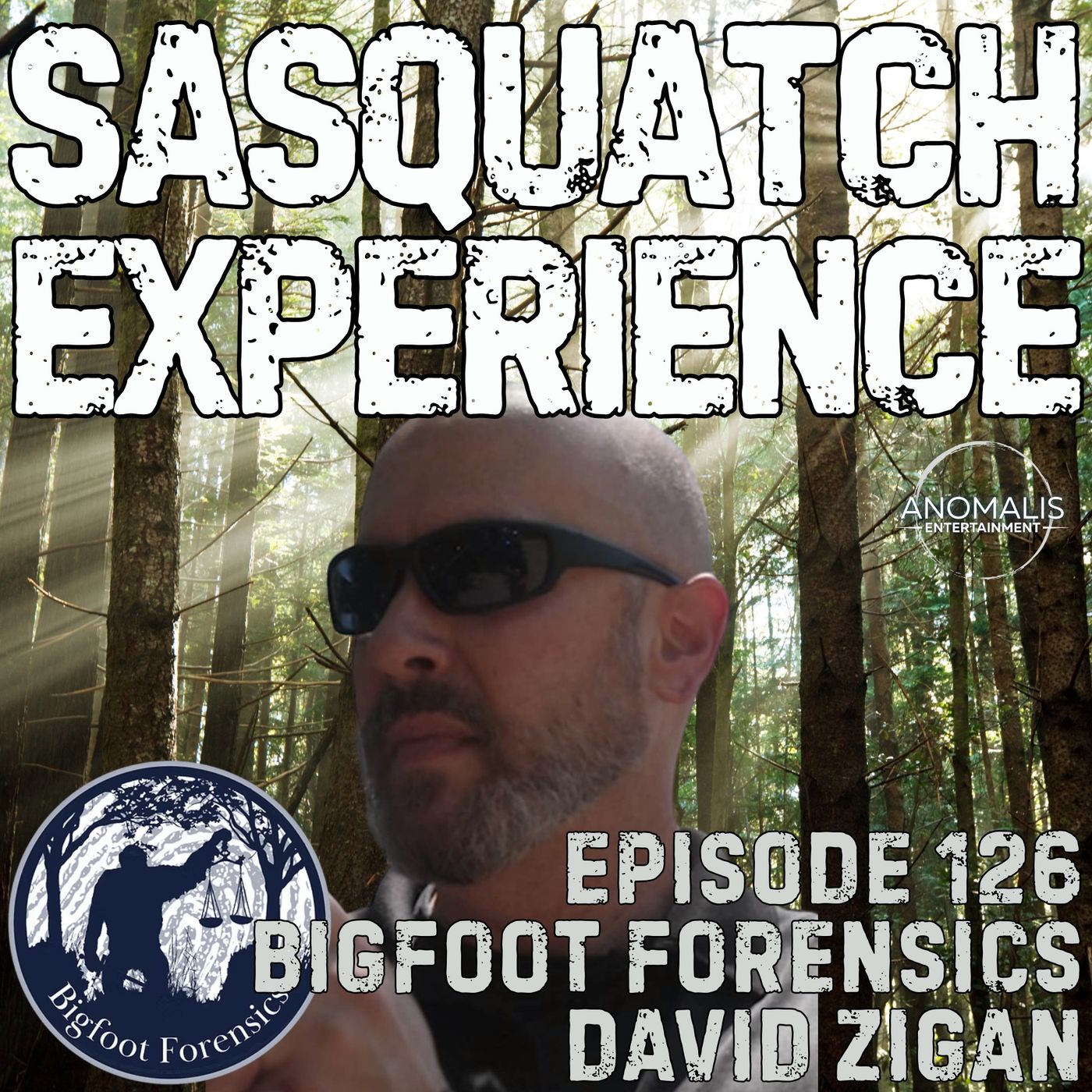 Sasquatch Experience