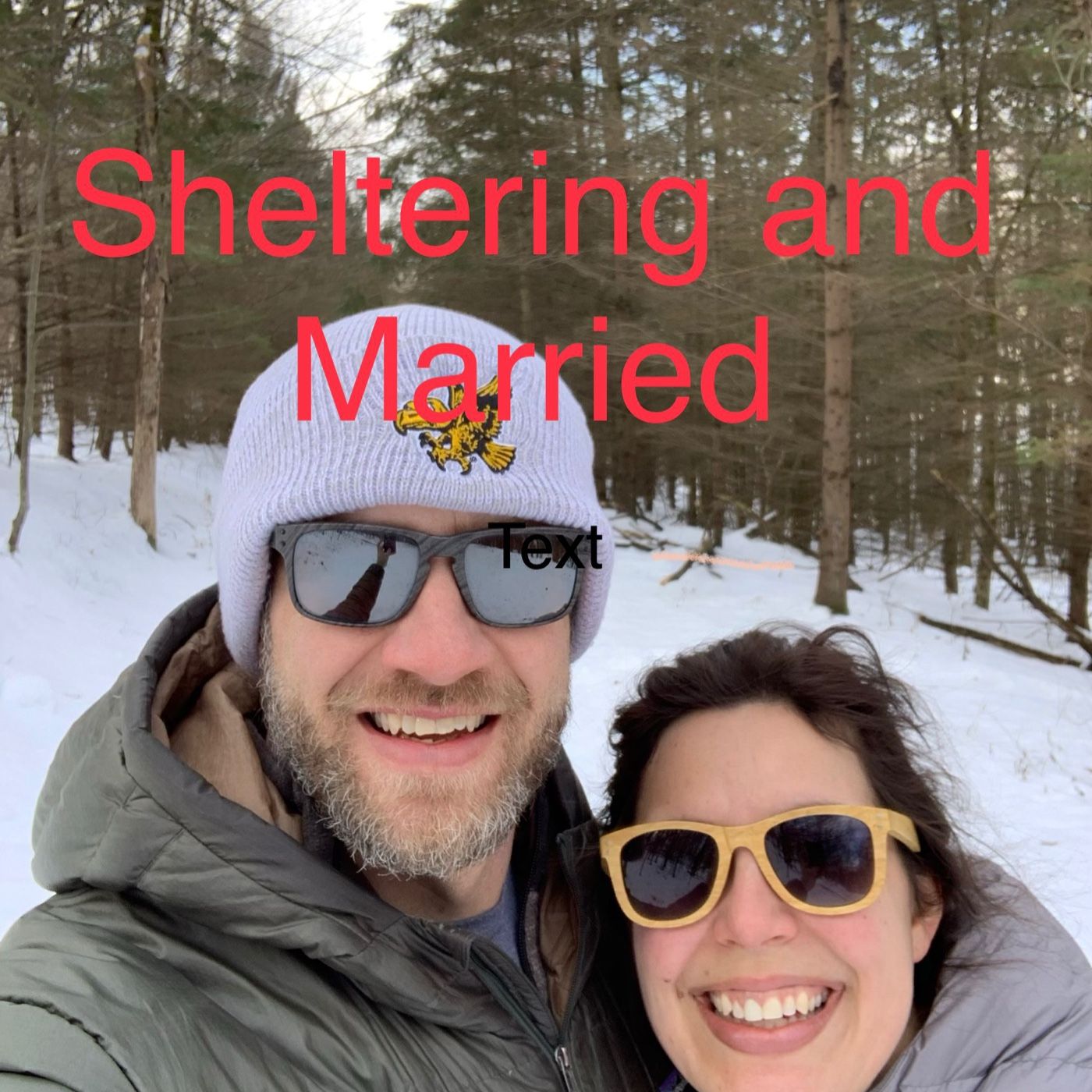 Episode 6 - Sheltering and Married Ruzek’s podcast