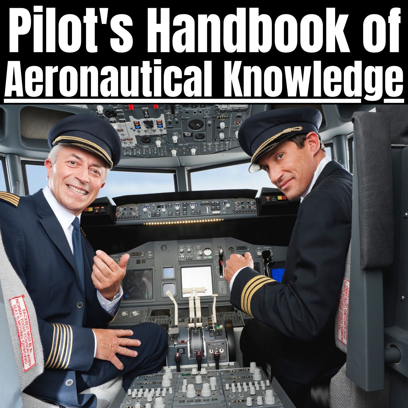 Episode 68 - Decision Making in a Dynamic Enviornment - Pilot's Handbook of Aeronautical Knowledge - podcast episode cover