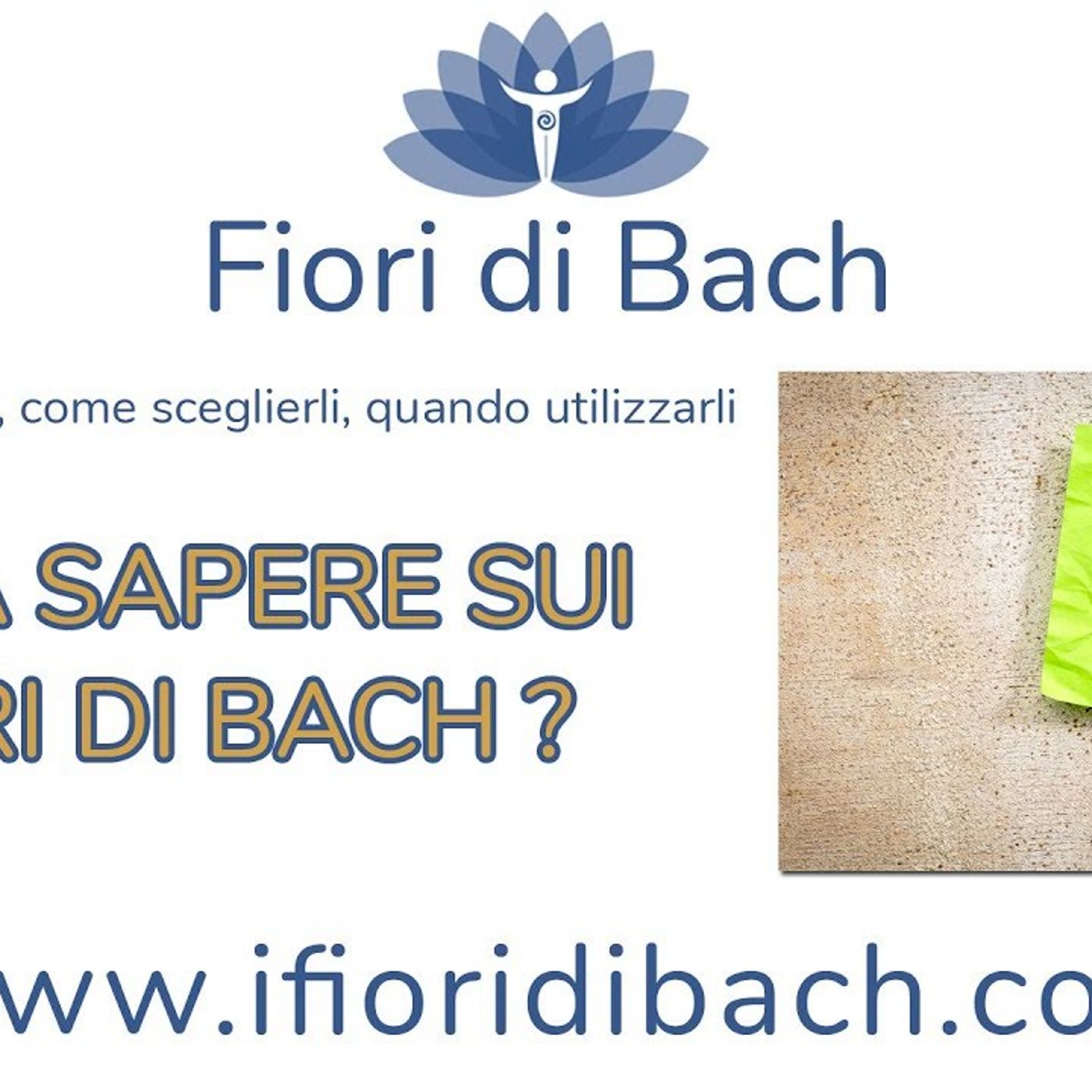 Cosa sapere sui fiori di Bach episode artwork