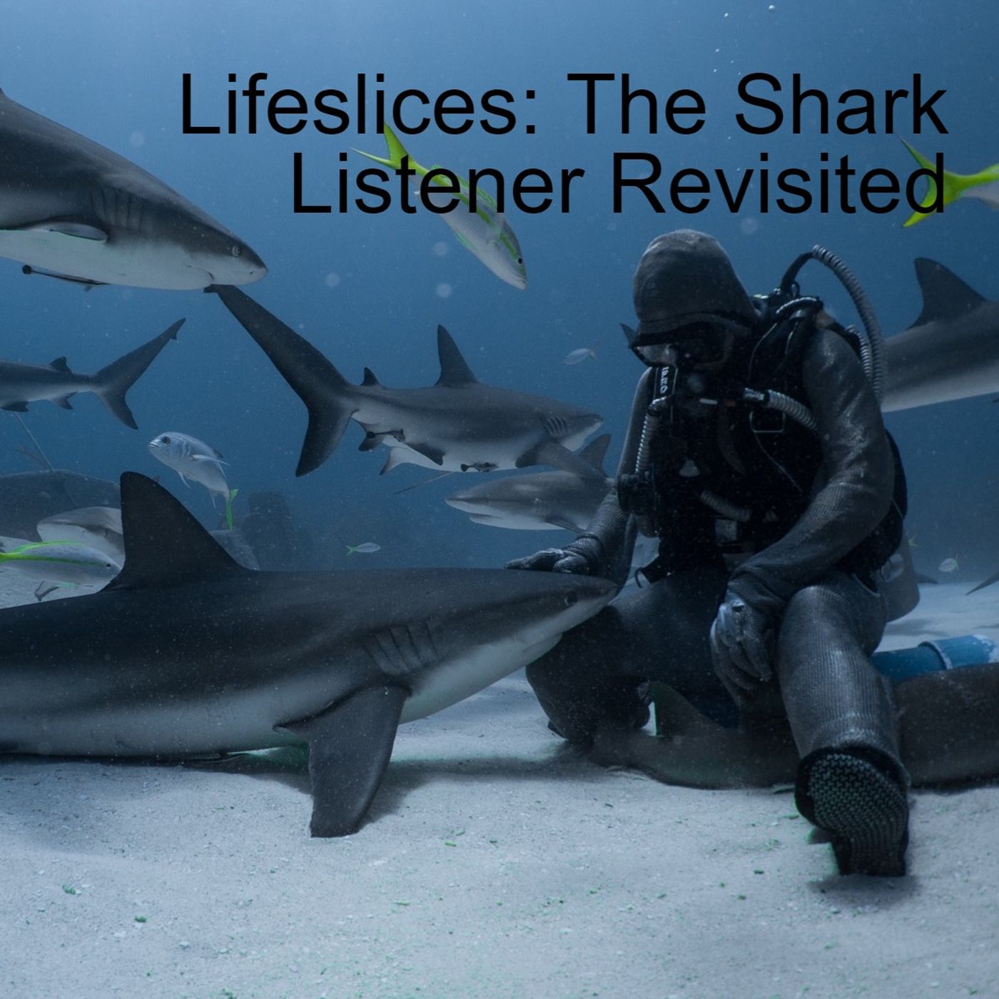Lifeslices: The Shark Listener Revisited episode artwork
