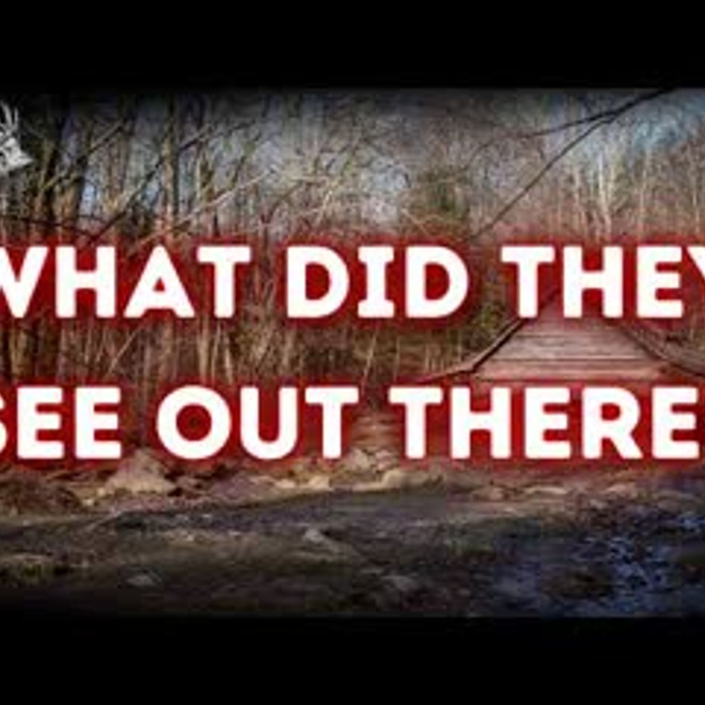 Did the FBI Hide the Truth   Dennis Martin Part II