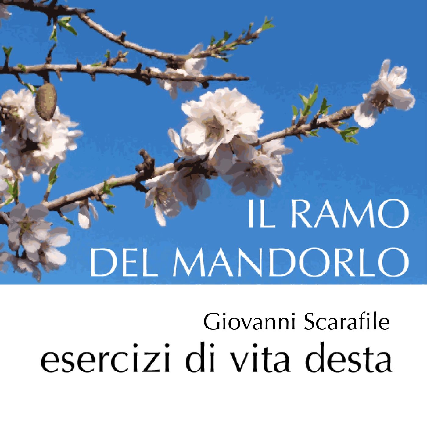 Il Ramo del Mandorlo.