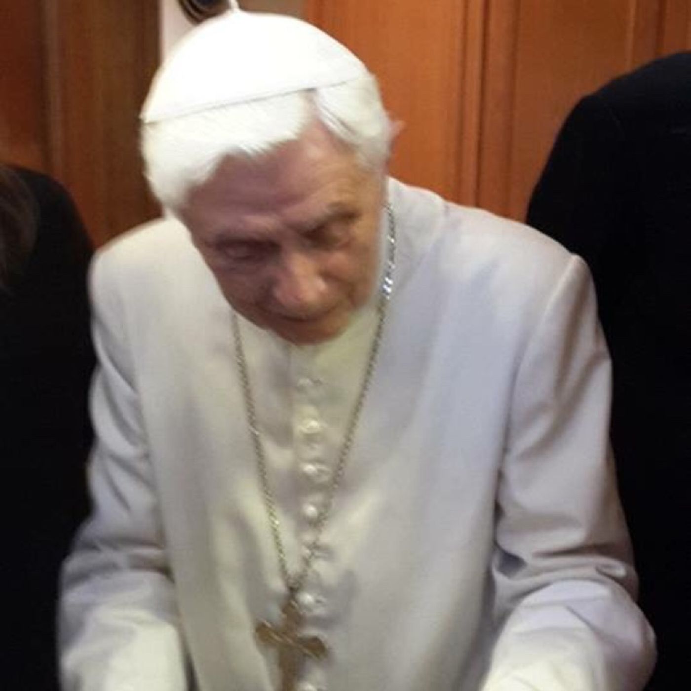 Papa Benedetto 16/SER Gänswein