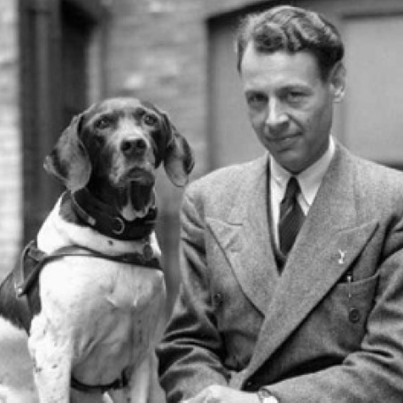 Strange History Shorts: Judy the War Dog - A Tale of Loyalty and Courage