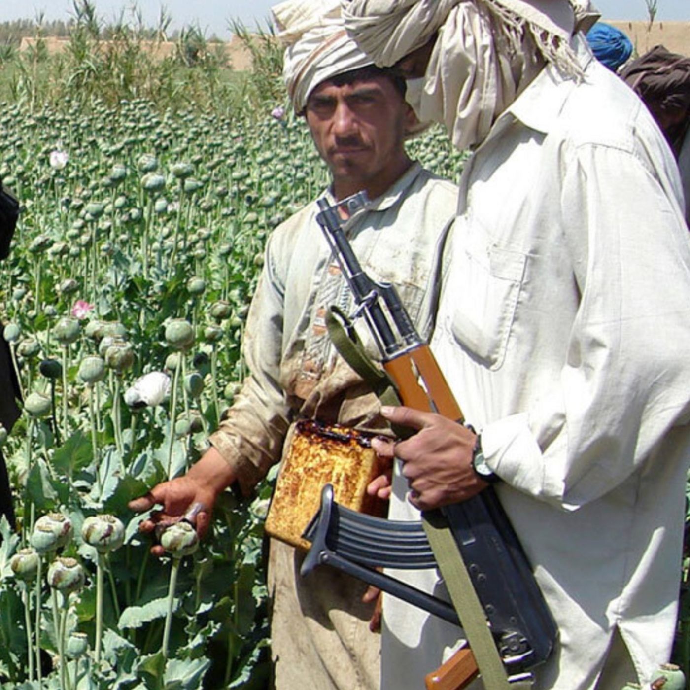 179. Drugs Trade in The Taliban's Afghanistan