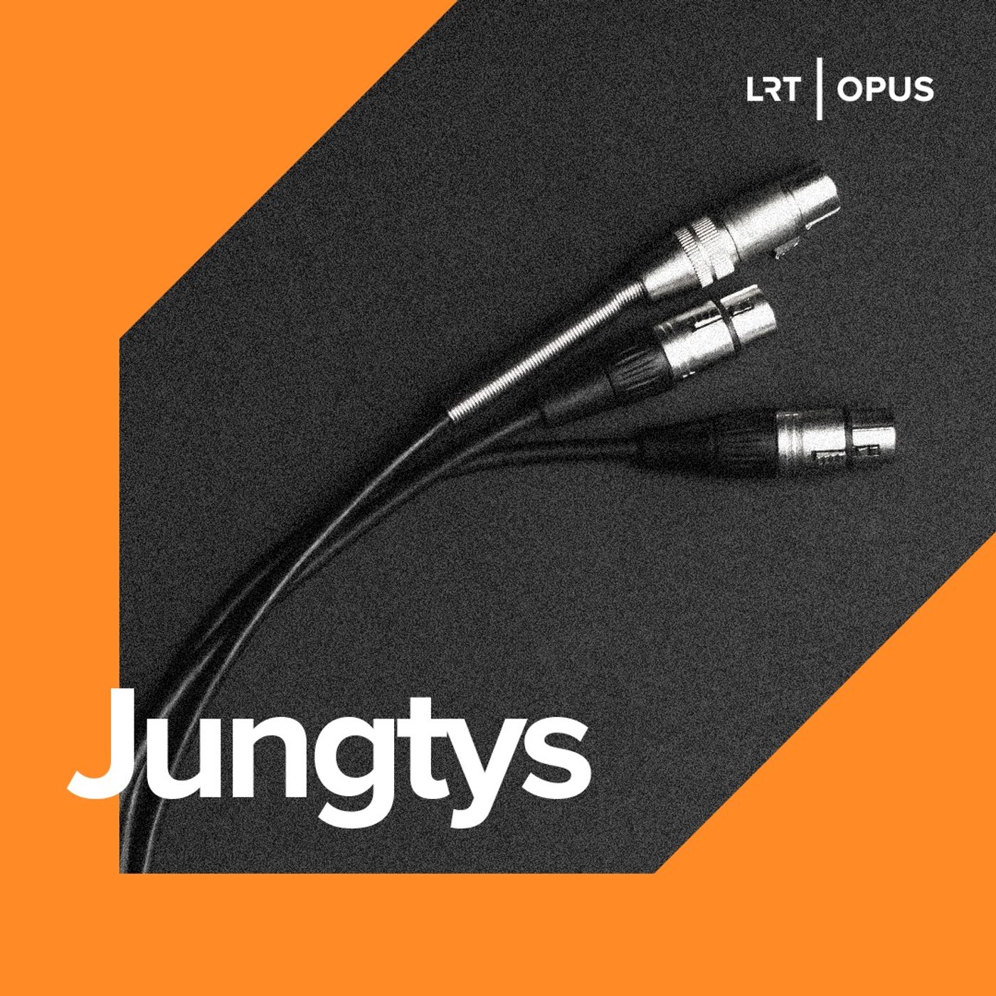 Jungtys