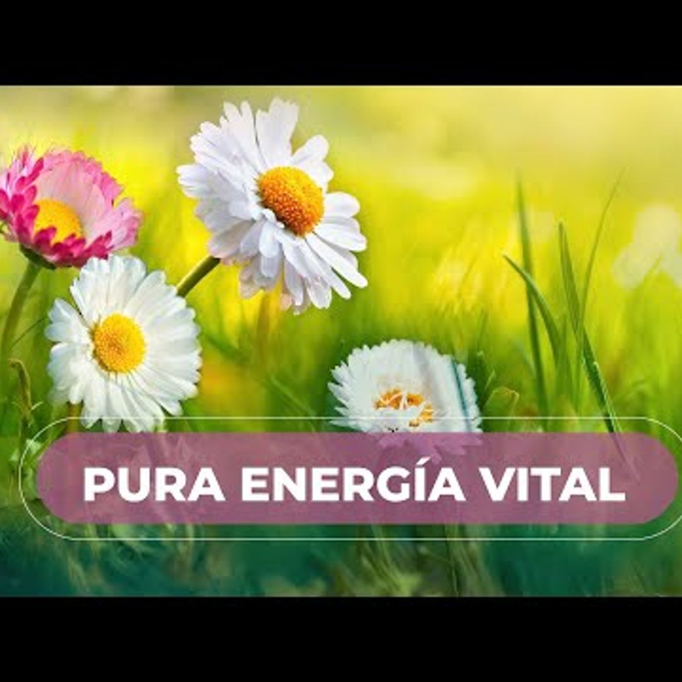Meditación de la Mañana... PURA ENERGÍA!!!