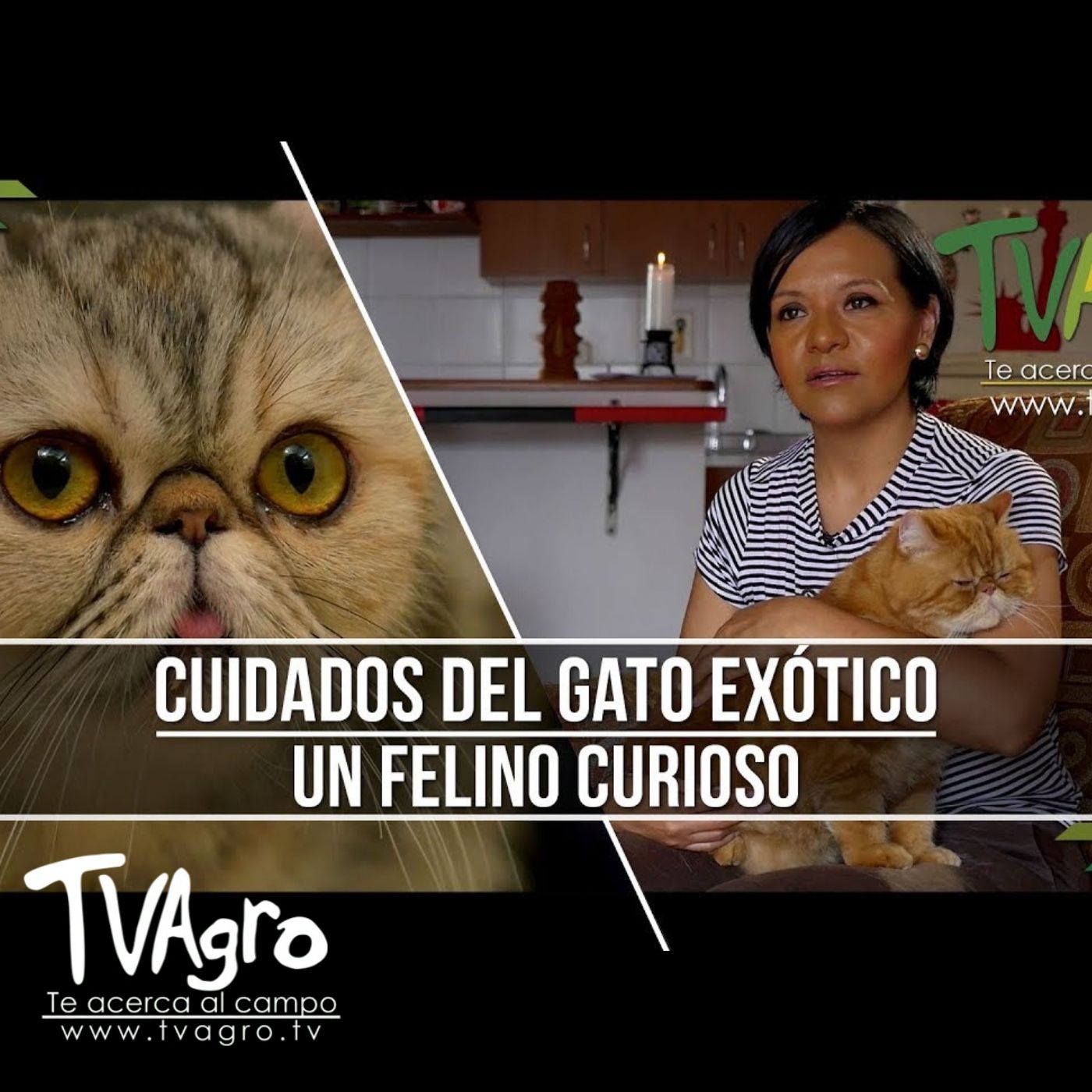 TV AGRO