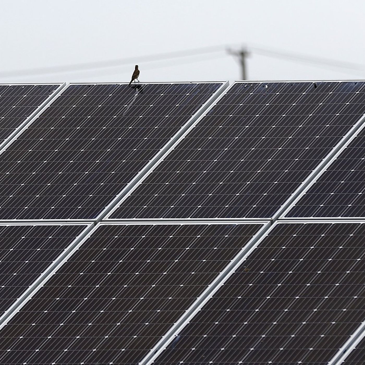 Lake in the Hills extends time for solar farm construction episode artwork