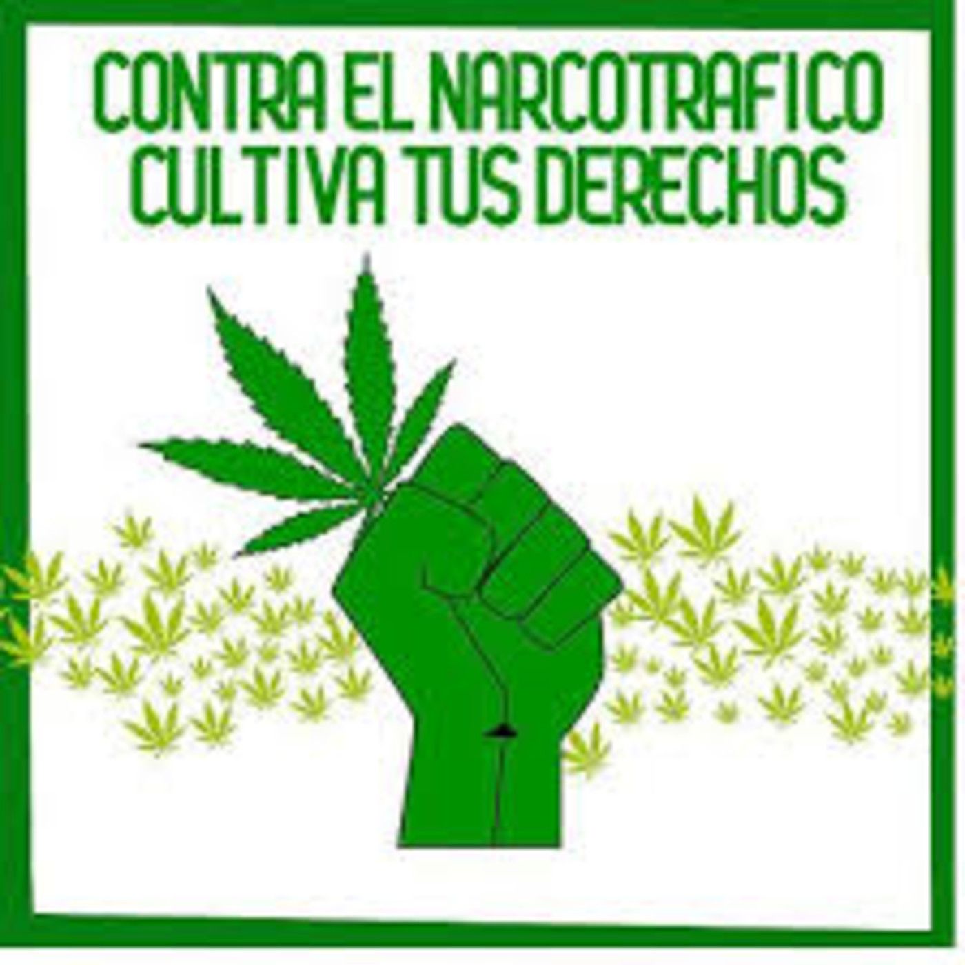 RadioDOCUDRAMA MarihuanaTv.INFORME DROGAS 20 al 39