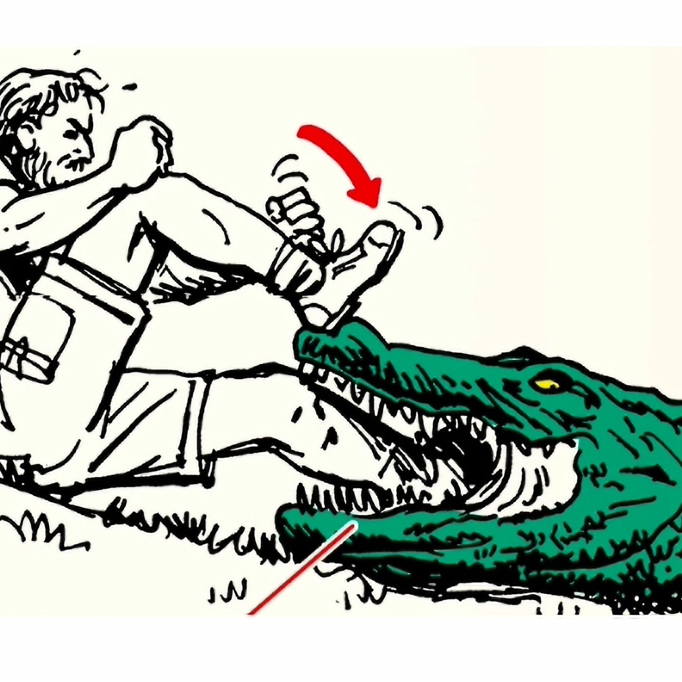 I could definitely take an alligator...