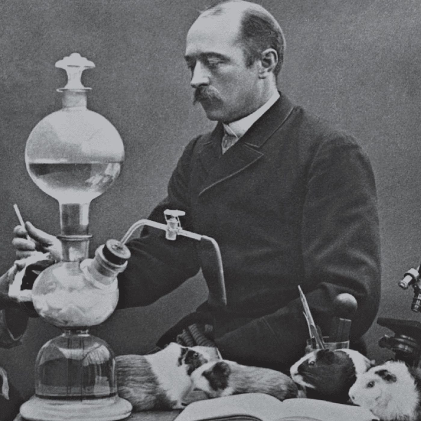 Pillole di Storia della Medicina