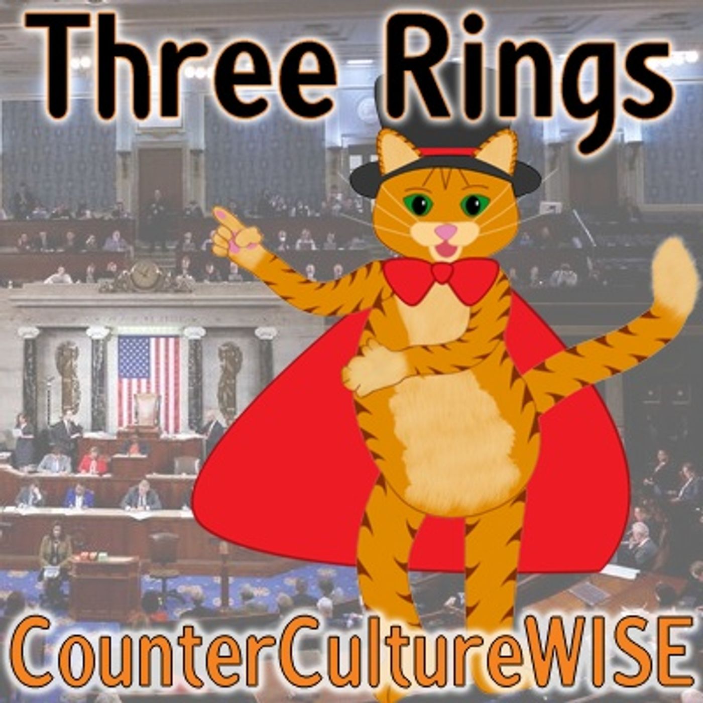 CounterCultureWISE