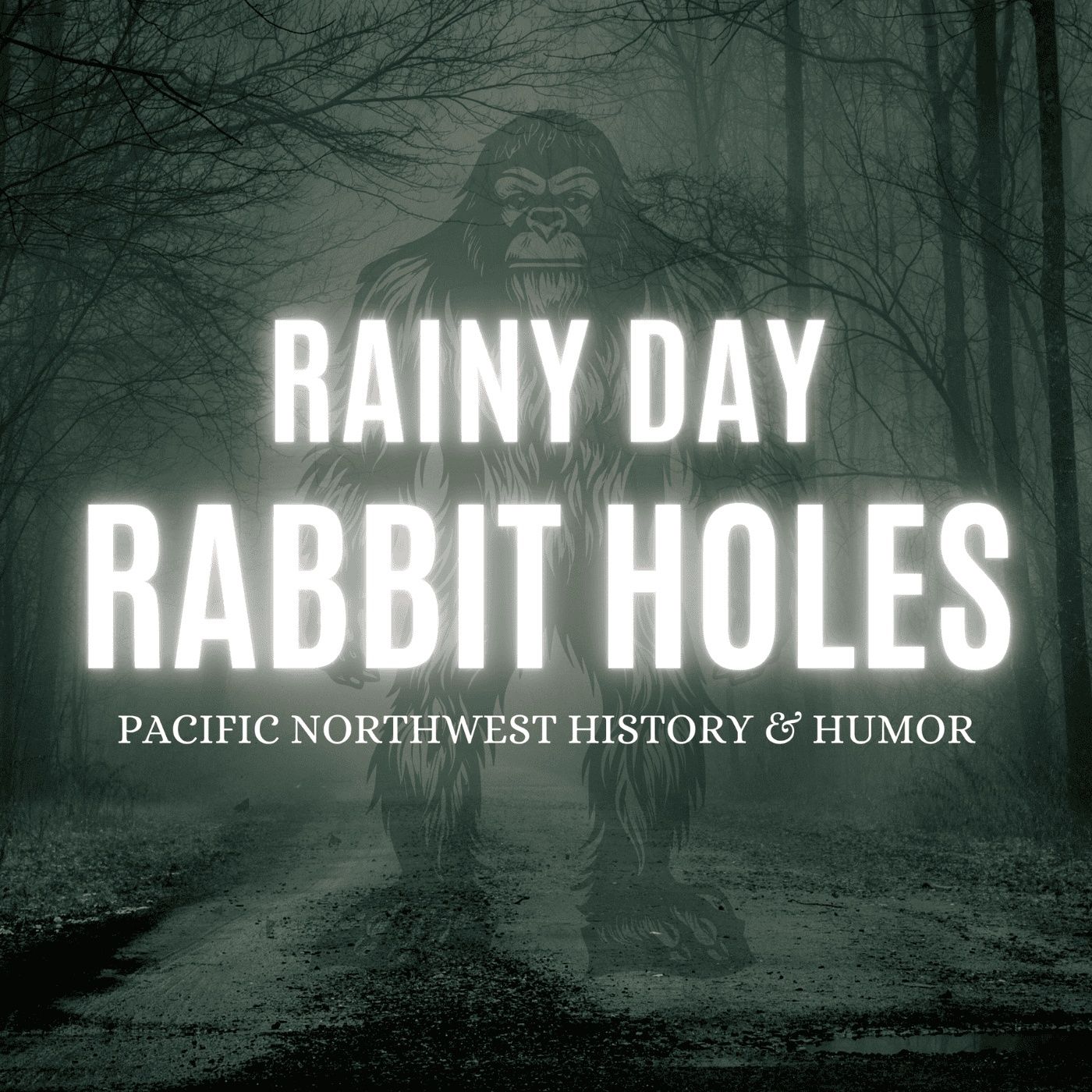 Something Strange is Afoot: The Salish Sea Feet Mysteries | Rainy Day Rabbit Holes