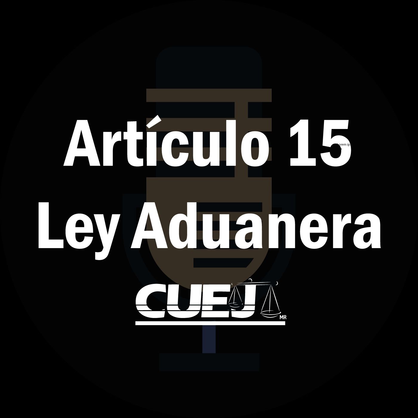 Audio Ley Aduanera