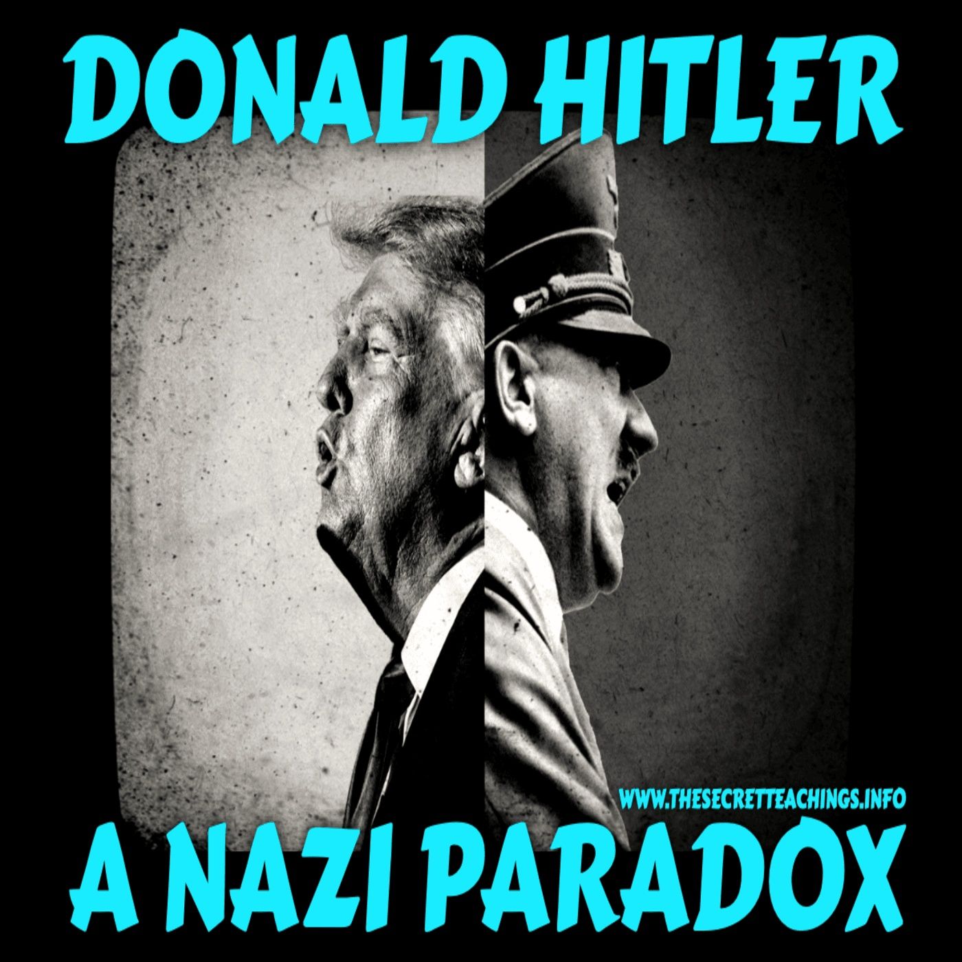 Donald Hitler: A Nazi Paradox (11/11/24)