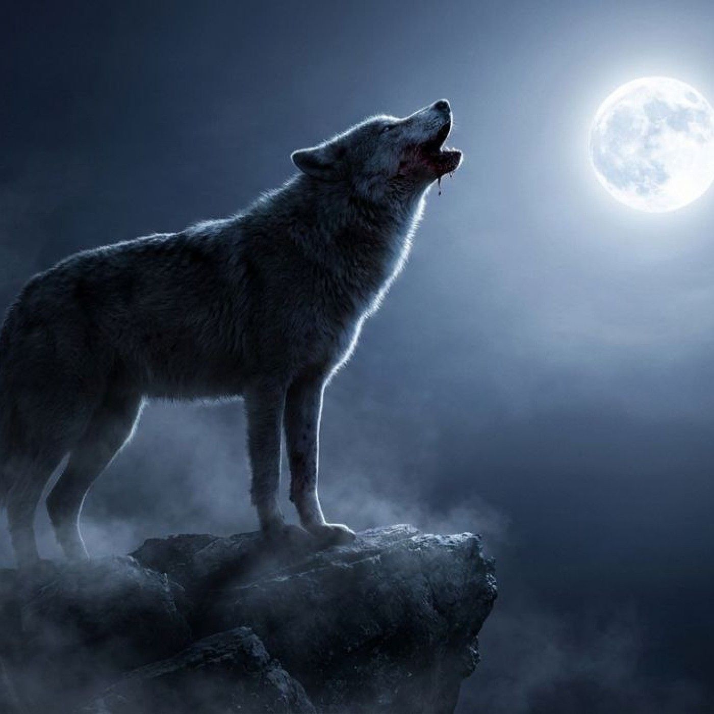 پادکست طاها ظریفی cover art