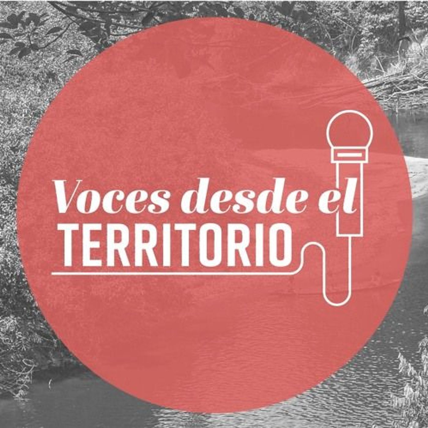 Voces desde el Territorio