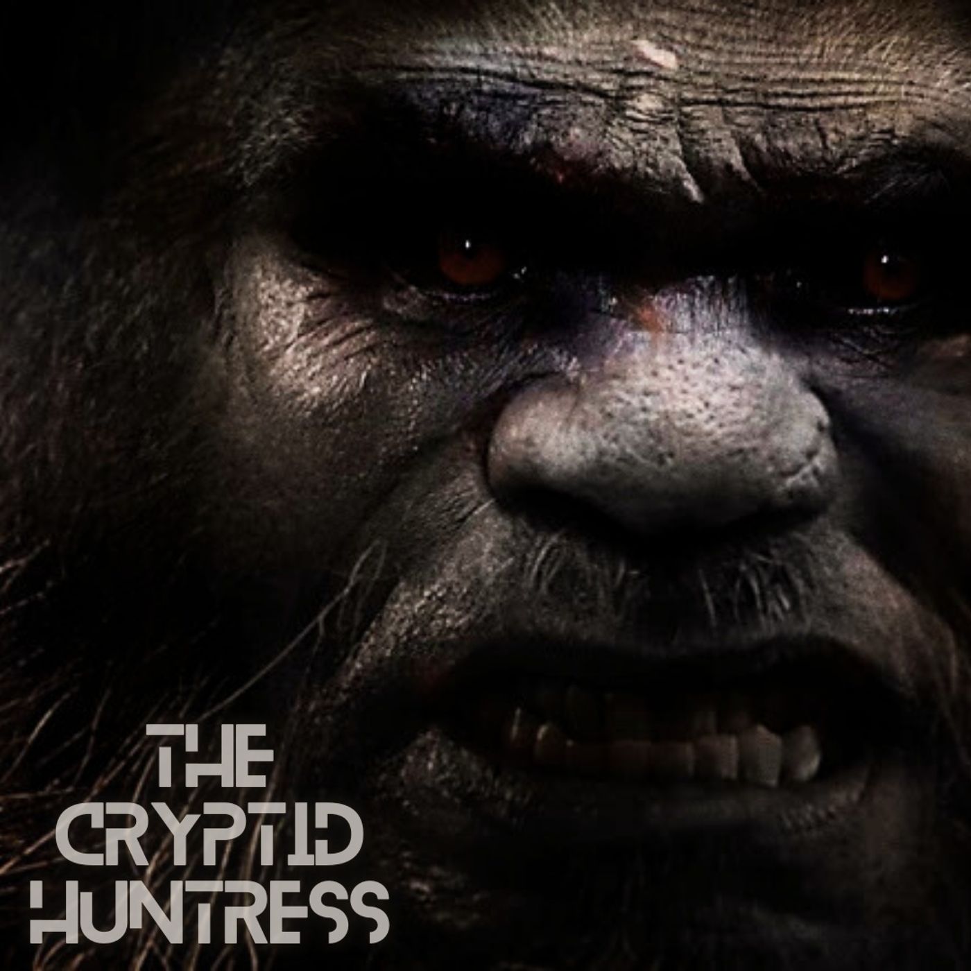 The Cryptid Huntress