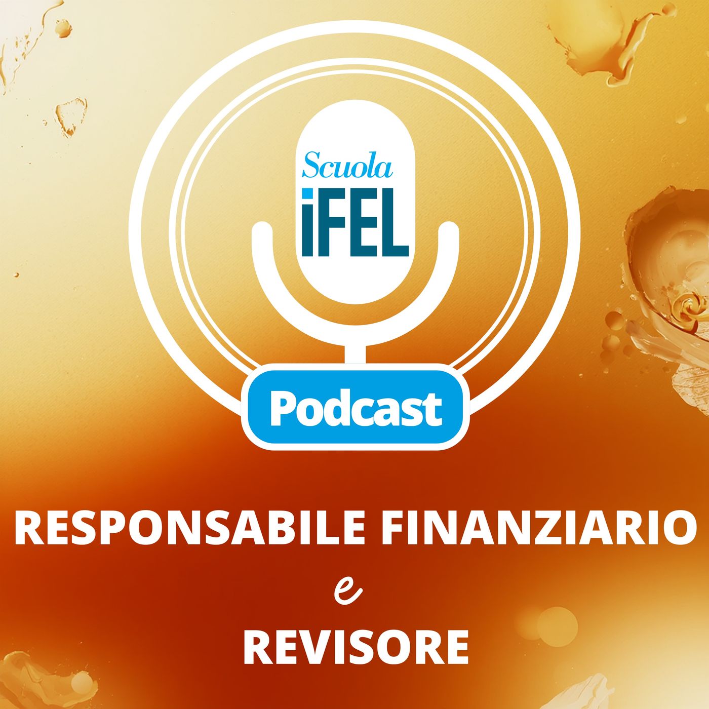 Responsabile finanziario e Revisore cover art