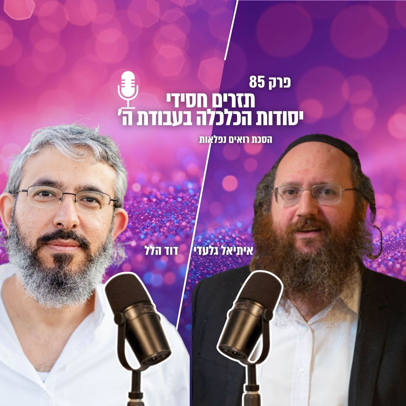 תזרים חסידי: יסודות הכלכלה בעבודת ה' | הסכת רואים נפלאות | פרק 85 episode artwork