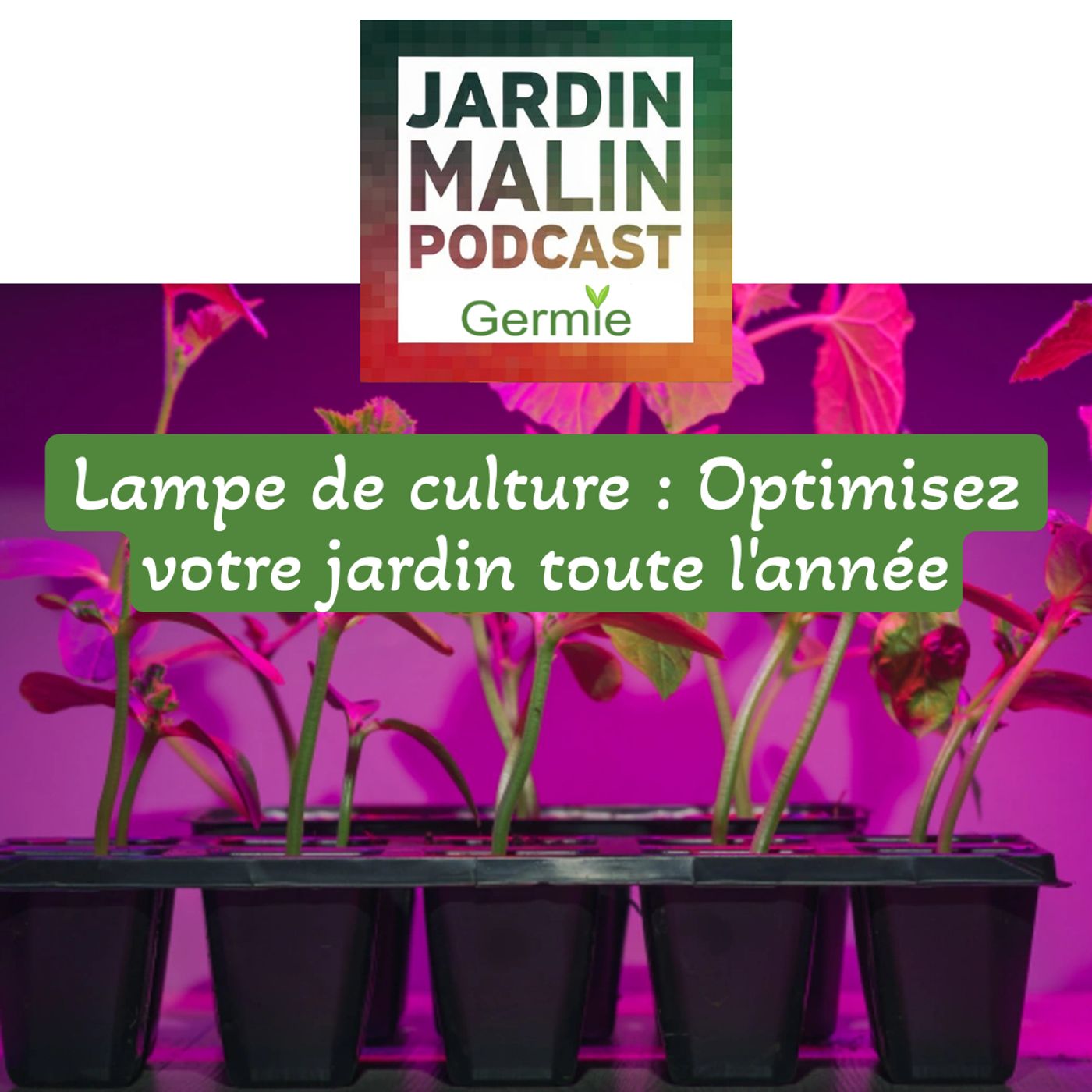 JARDIN MALIN by Germie
