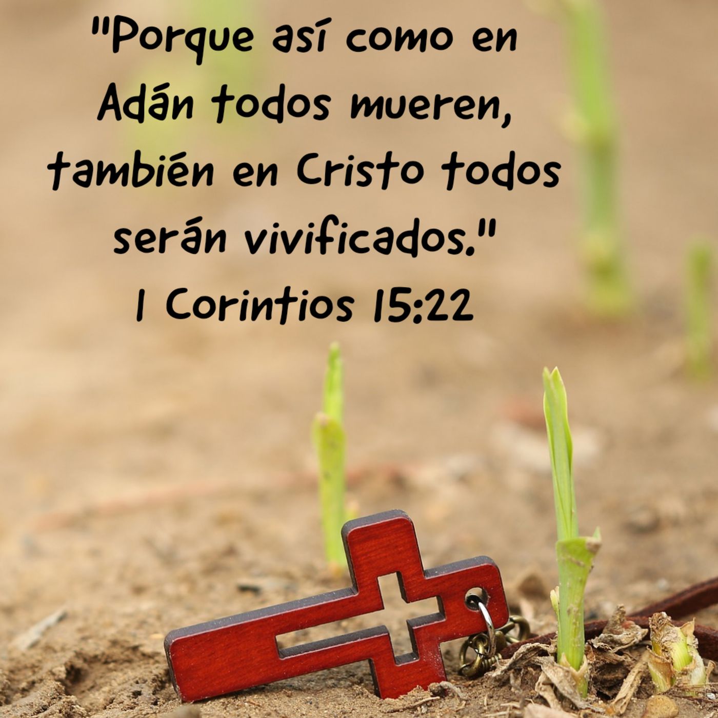 Barómetro Espiritual (1ra Corintios)