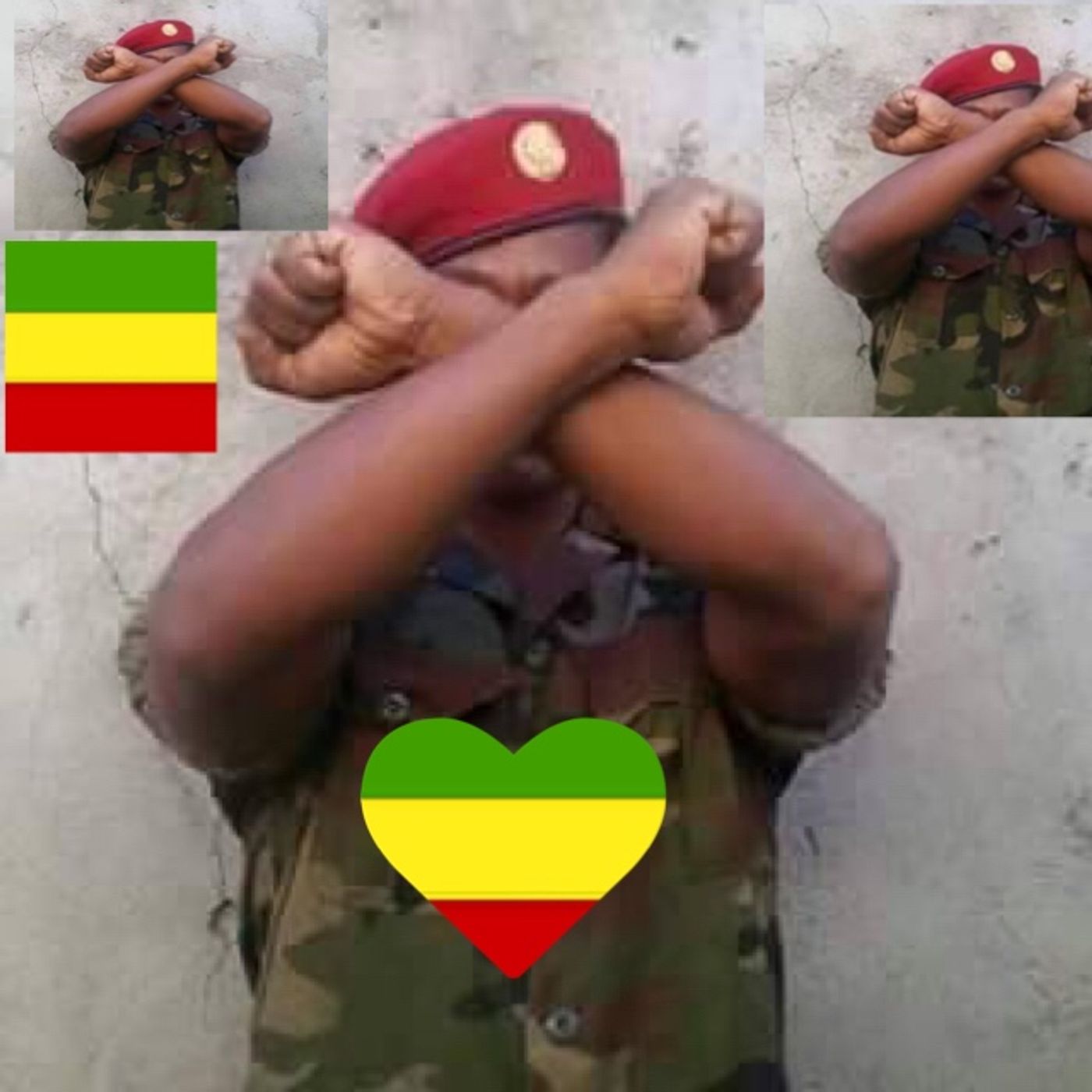 ለትግራይ የአርበኞች የልጅ ልጆች ጥሪ ነው! episode artwork