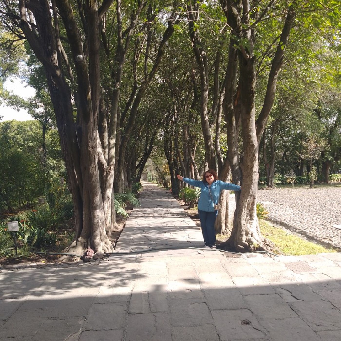 El podcast de Rosario Castillon