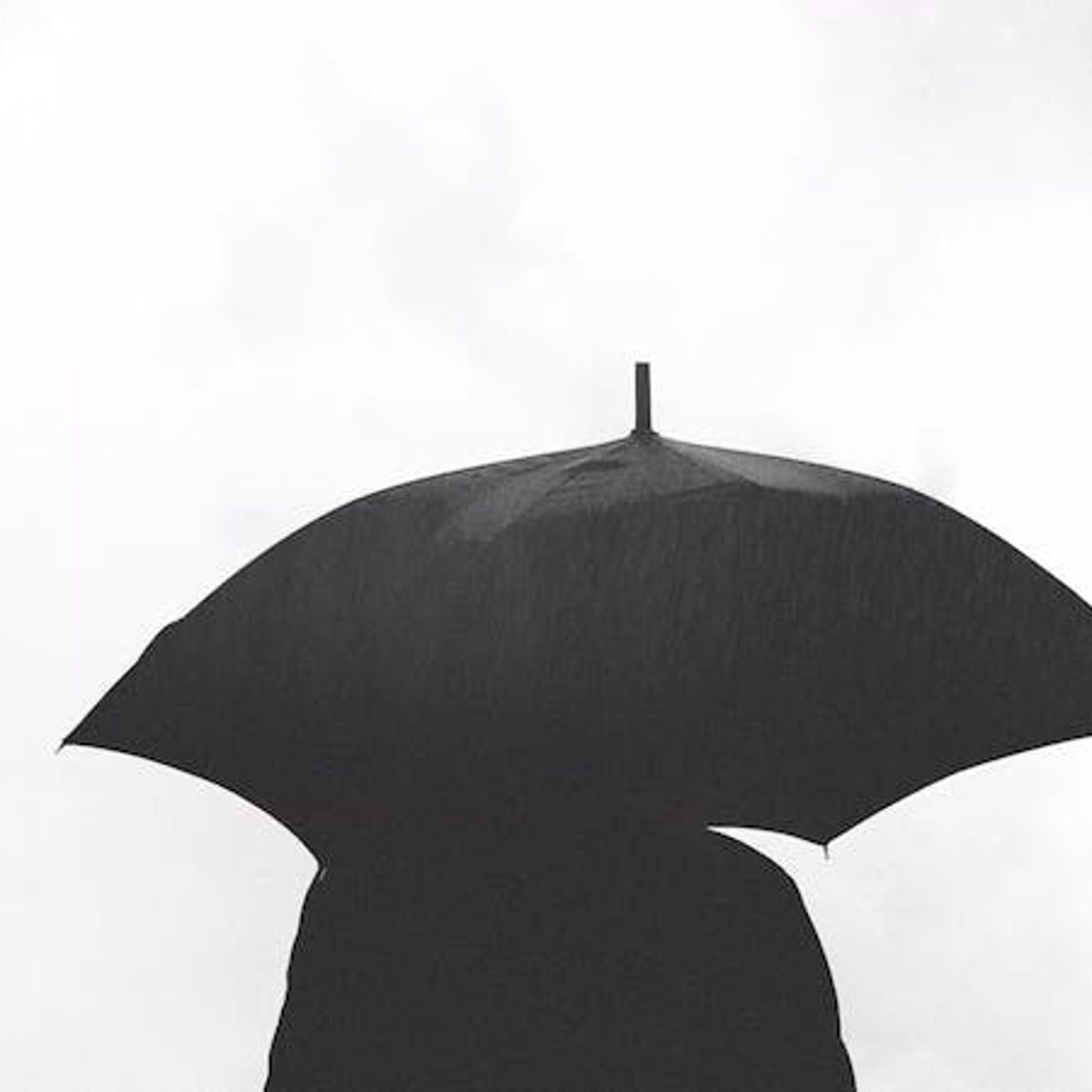 How Do Passions Wage War Against the Soul?