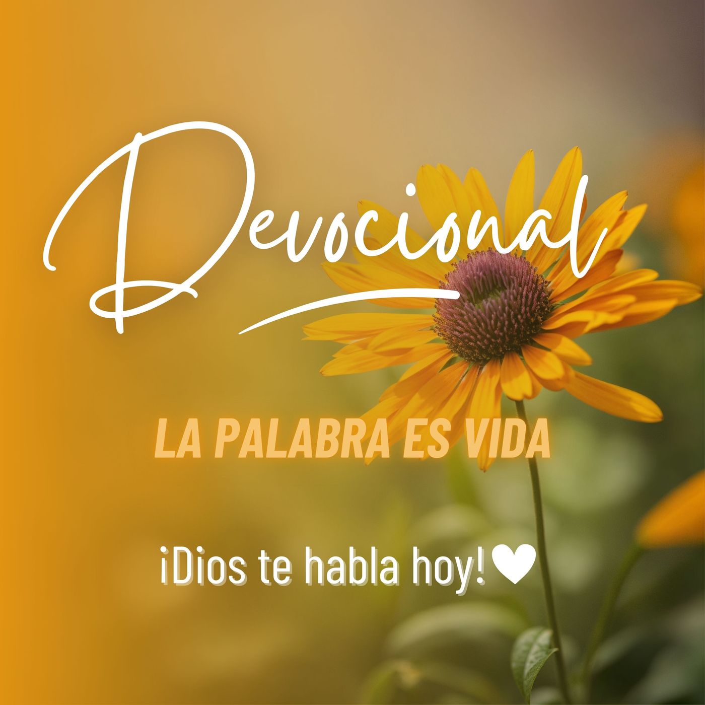 Devocional de Hoy EPP #43 - Renovados por la Esperanza en Dios #diostedicehoy