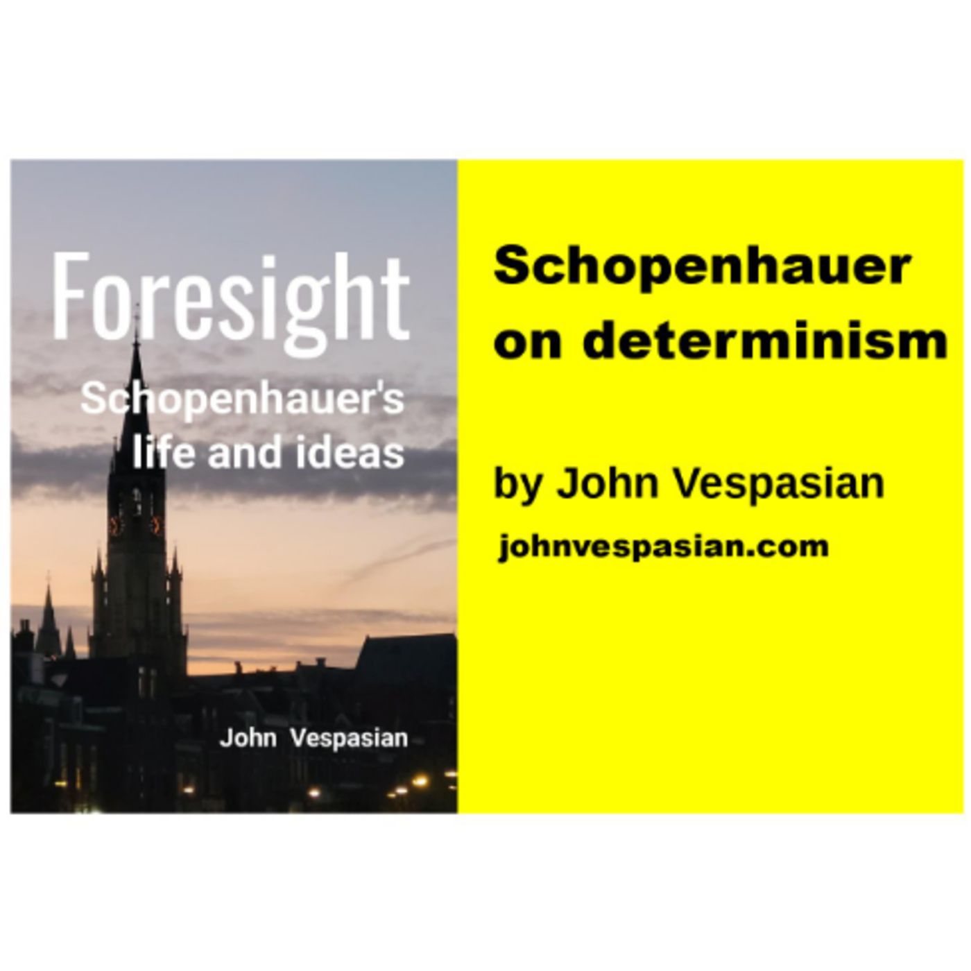 Schopenhauer on determinism episode artwork