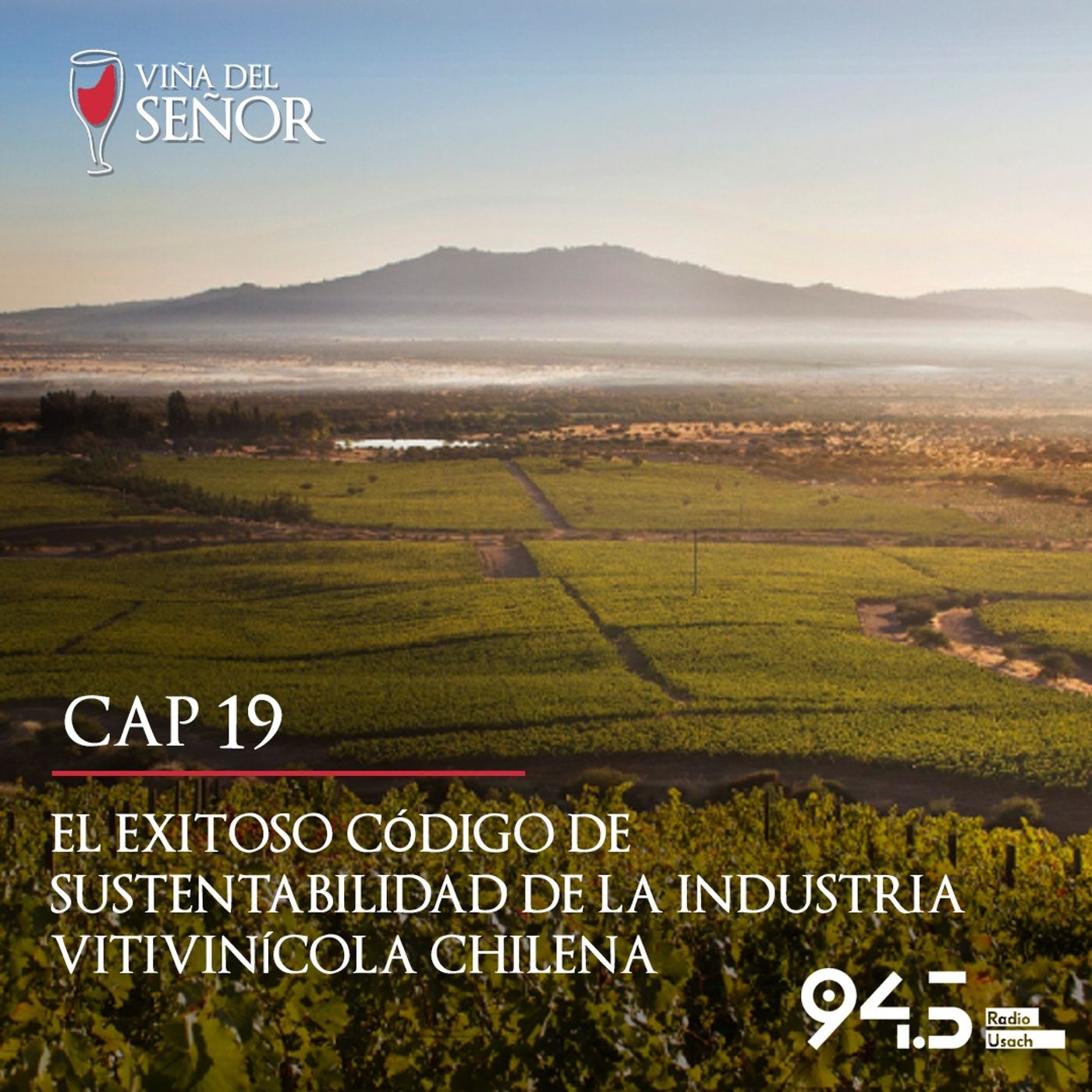 La Viña del Señor