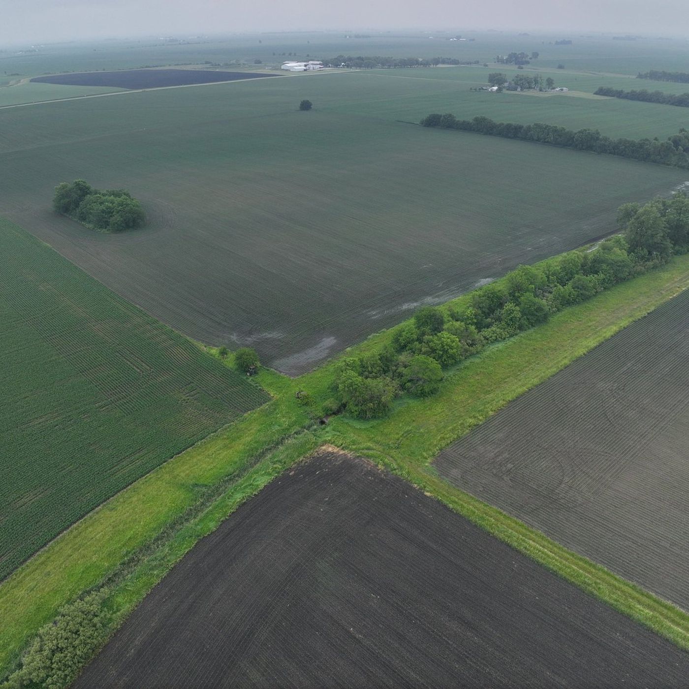 First steps for farmland owners program set for August in Princeton episode artwork
