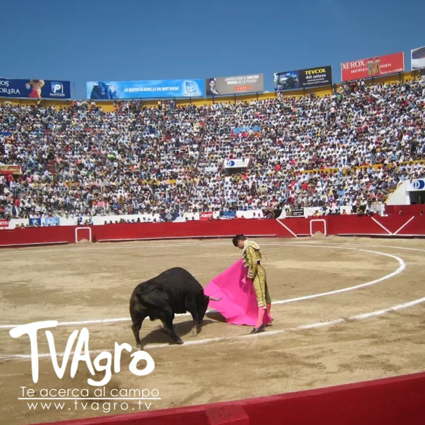 TV AGRO