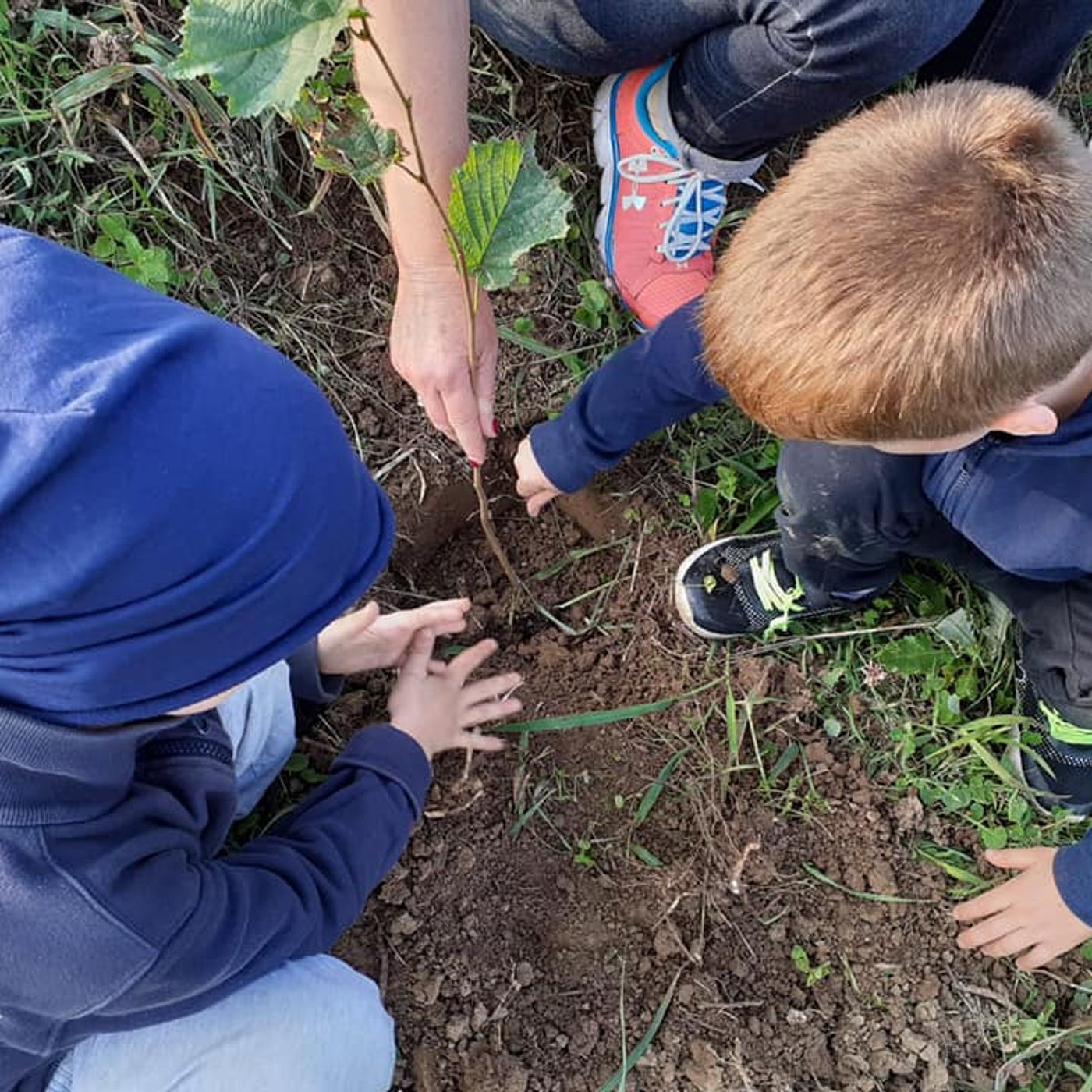 Le news di Re Soil Foundation