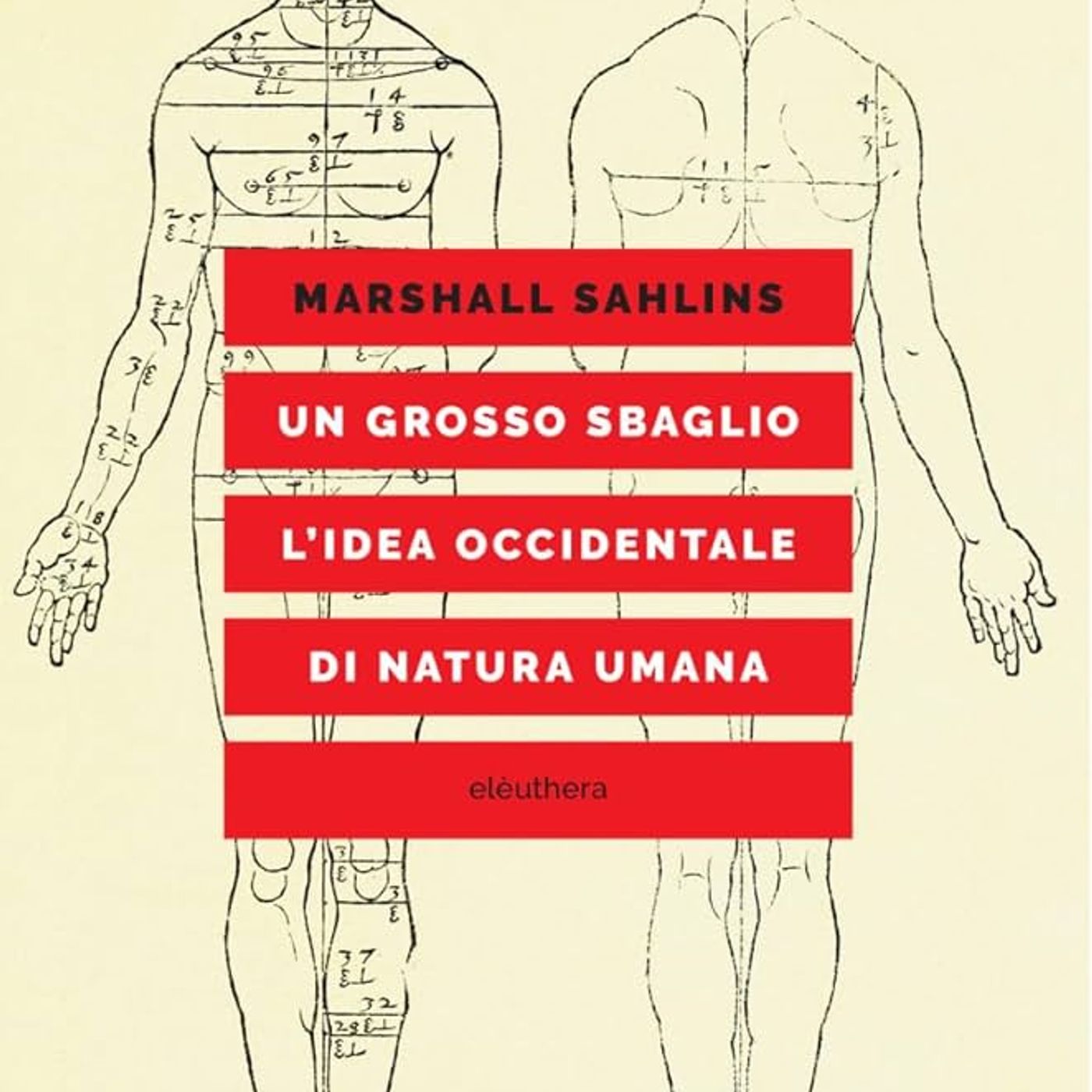 Stagione 10, episodio 9: "Un grosso sbaglio" di Marshall Sahlins