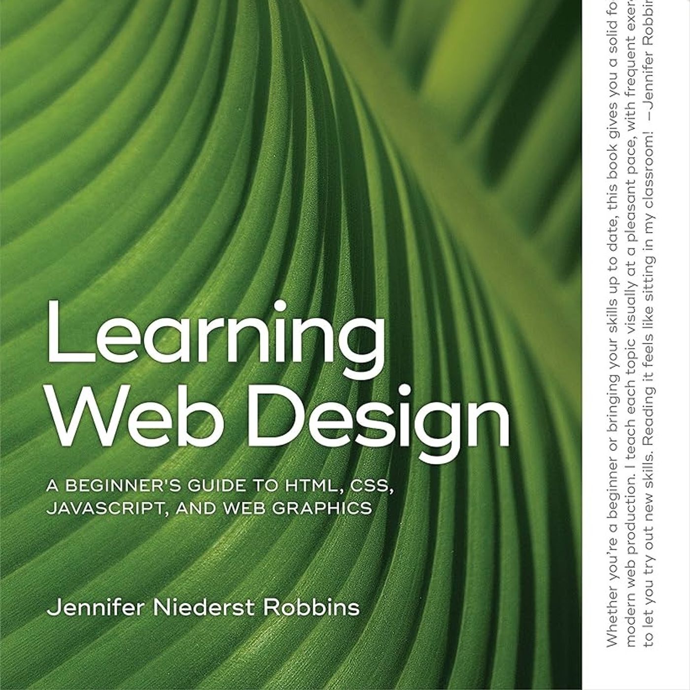 Learning Web Design: A Beginner's Guide to HTML, CSS, JavaScript, and Web Graphics