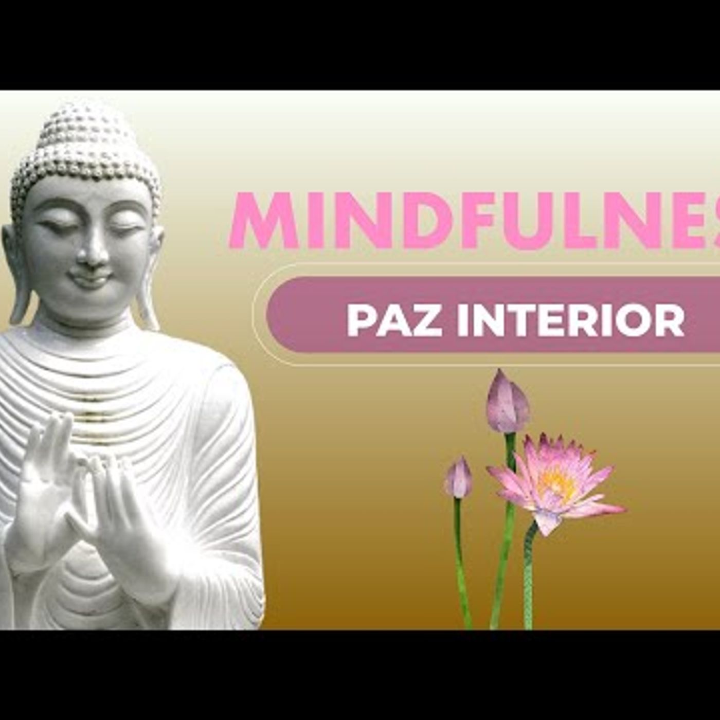 044. Meditación Guiada Mindfulness 🌷 Respiración 🌷 Cuerpo