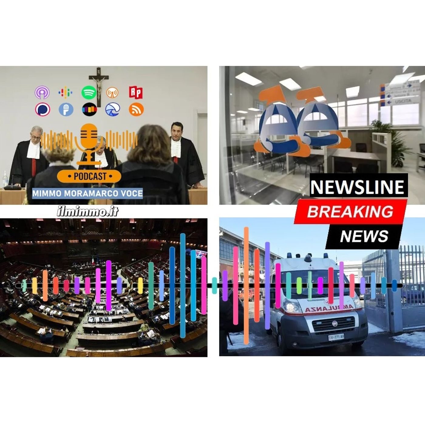 Newsline 2 dell'11 dicembre 2024 episode artwork