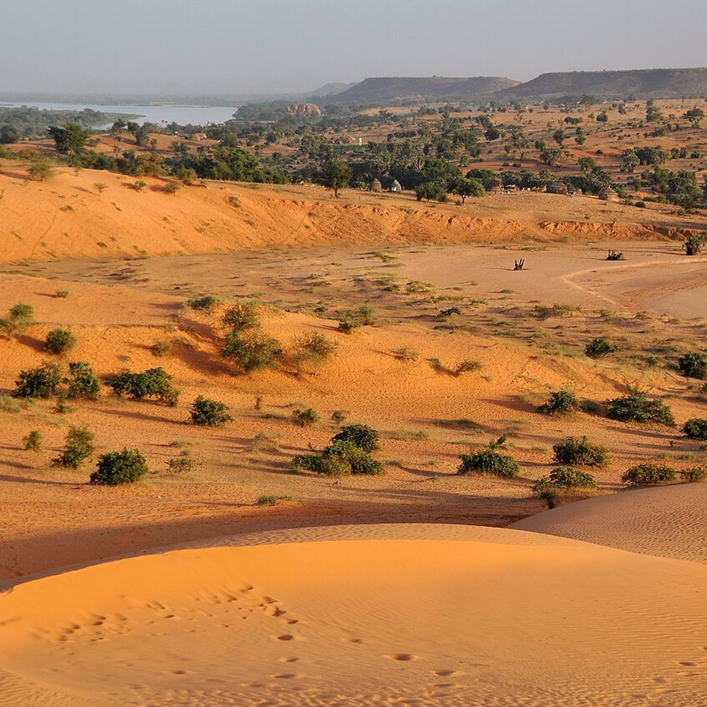 Tradition, régénération naturelle et éducation numérique au programme (Le Niger sur Kalangou) episode artwork