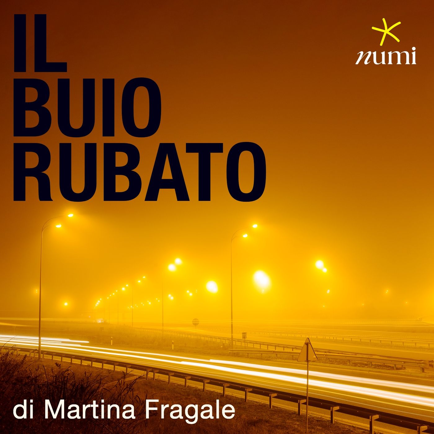 Copertina di Il buio rubato