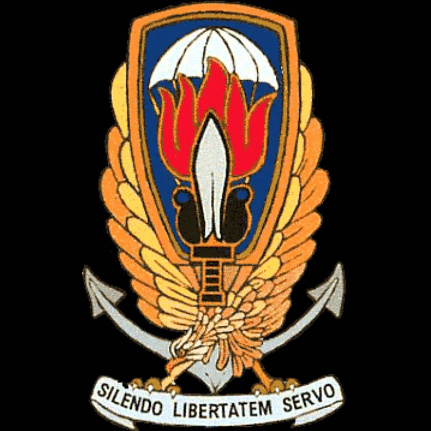 NWJ 621- Operation Gladio 101 w/Colonel Towner Watkins